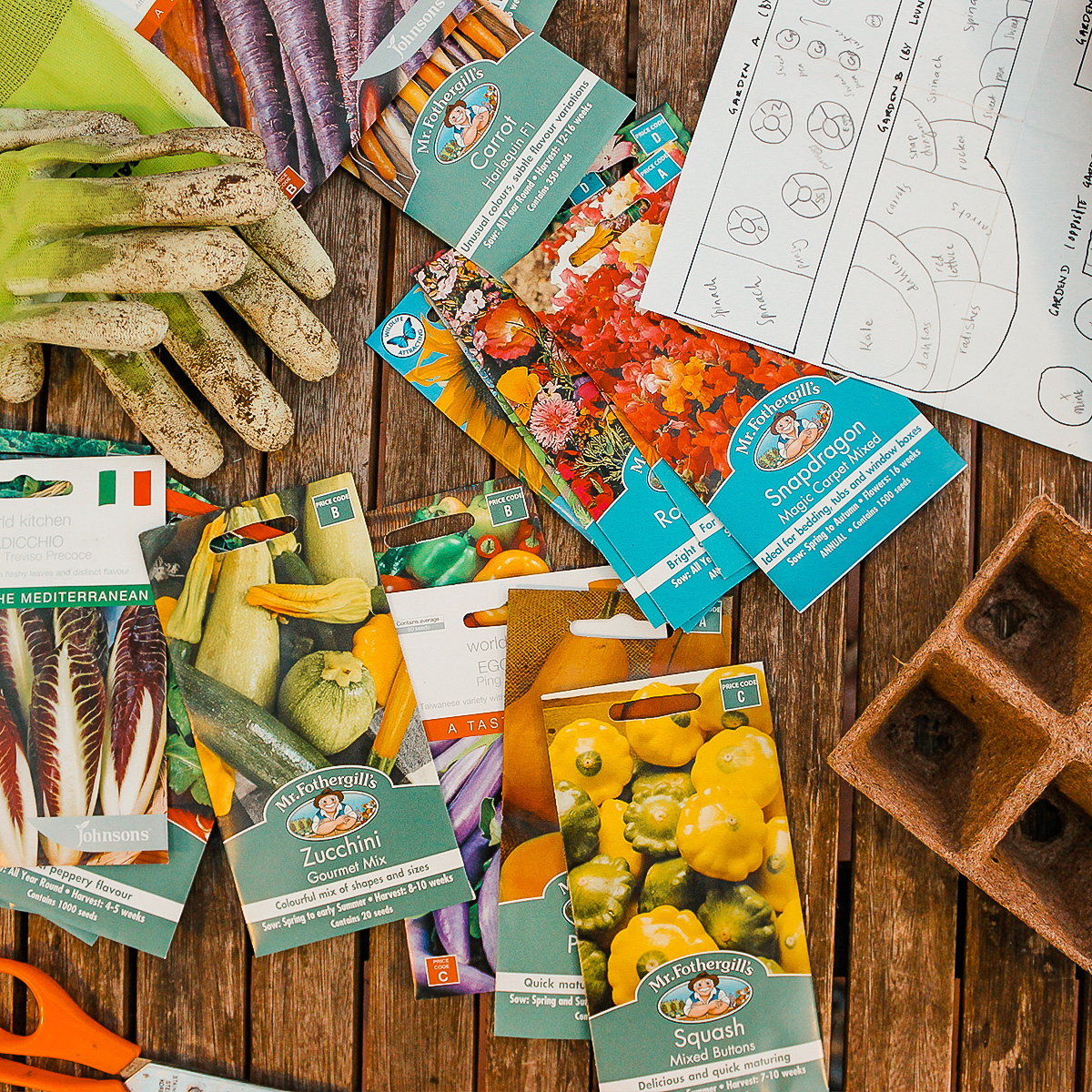 seed-How To Plan Your Own Vegetable Garden