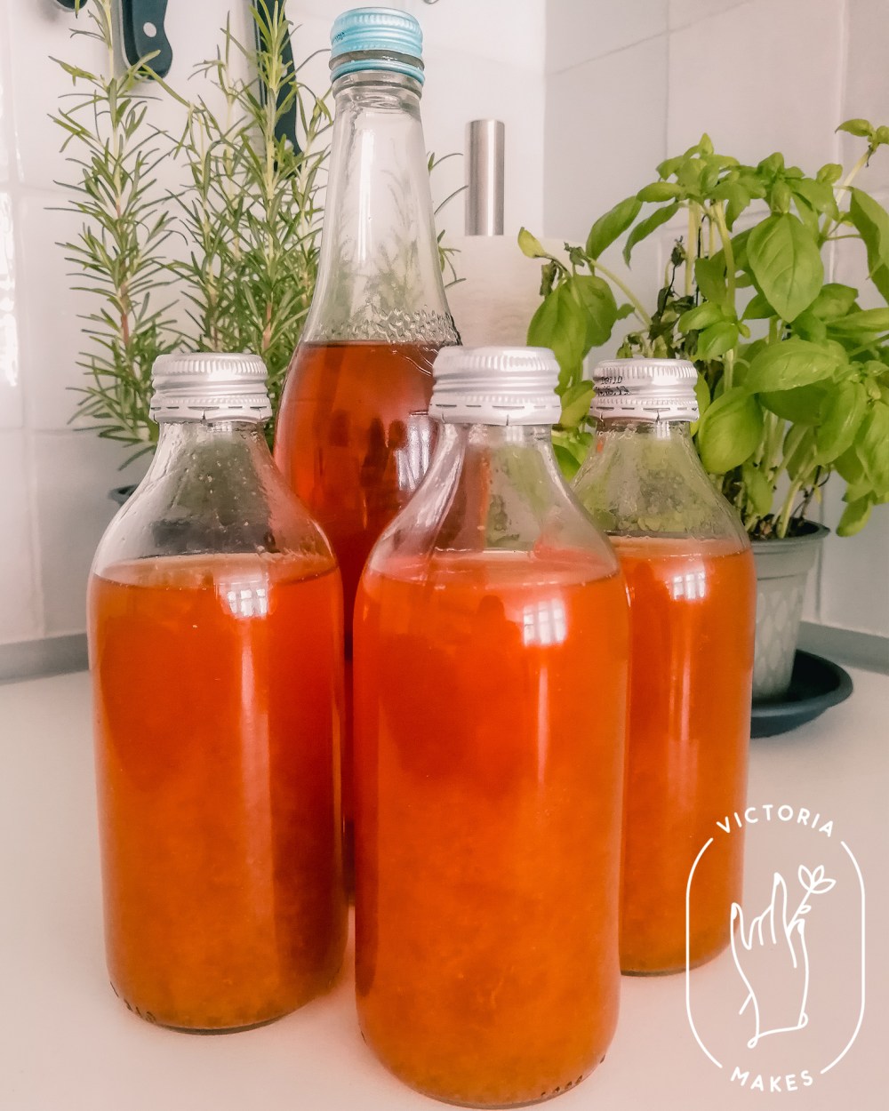 Kombucha_9